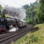 Durch den Pfälzerwald an die Mosel