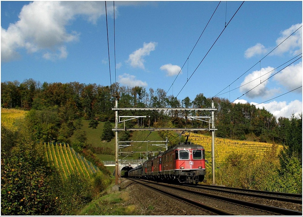 Durch den Rebberg