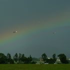 Durch den Regenbogen