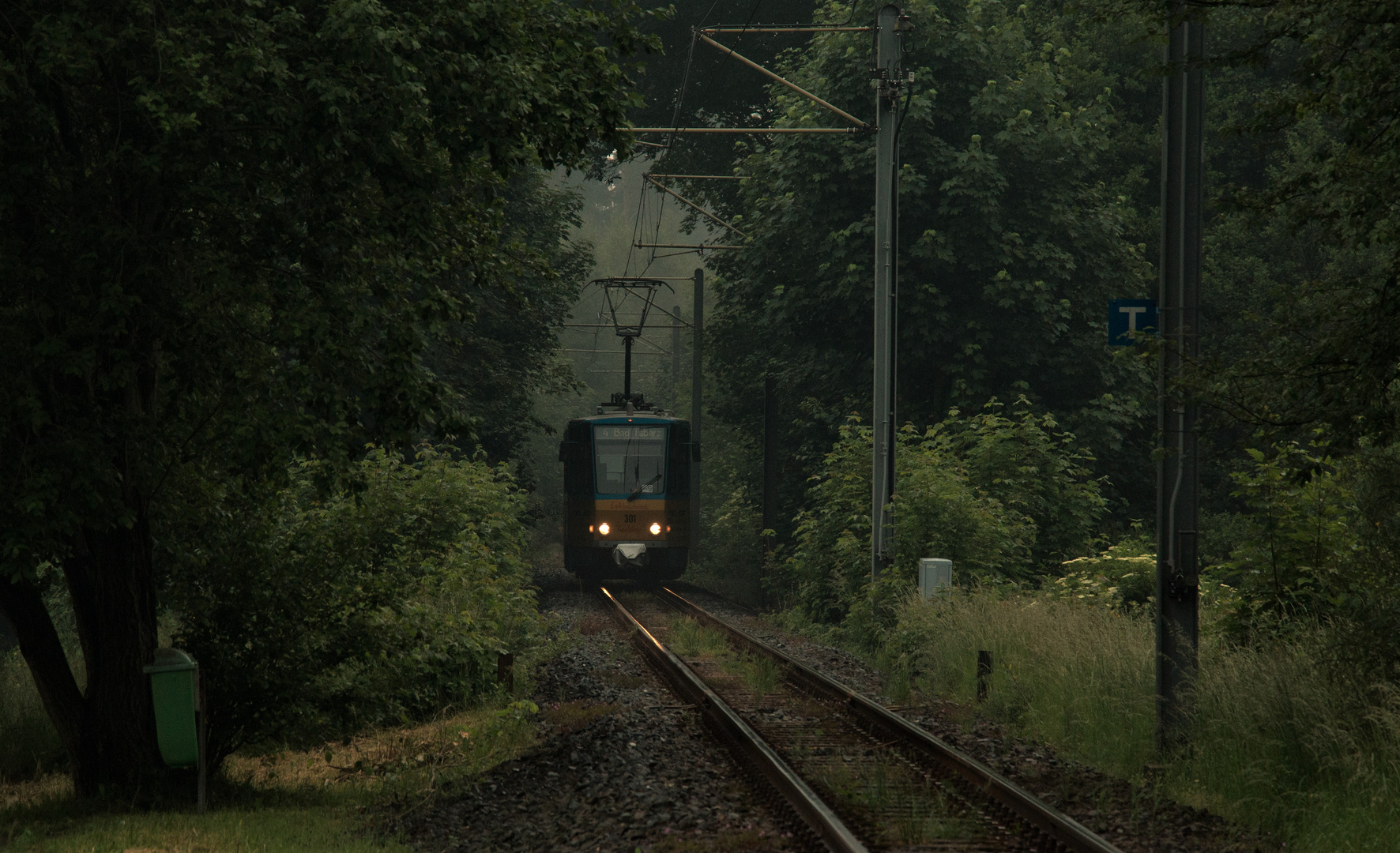 Durch den Regenwald...