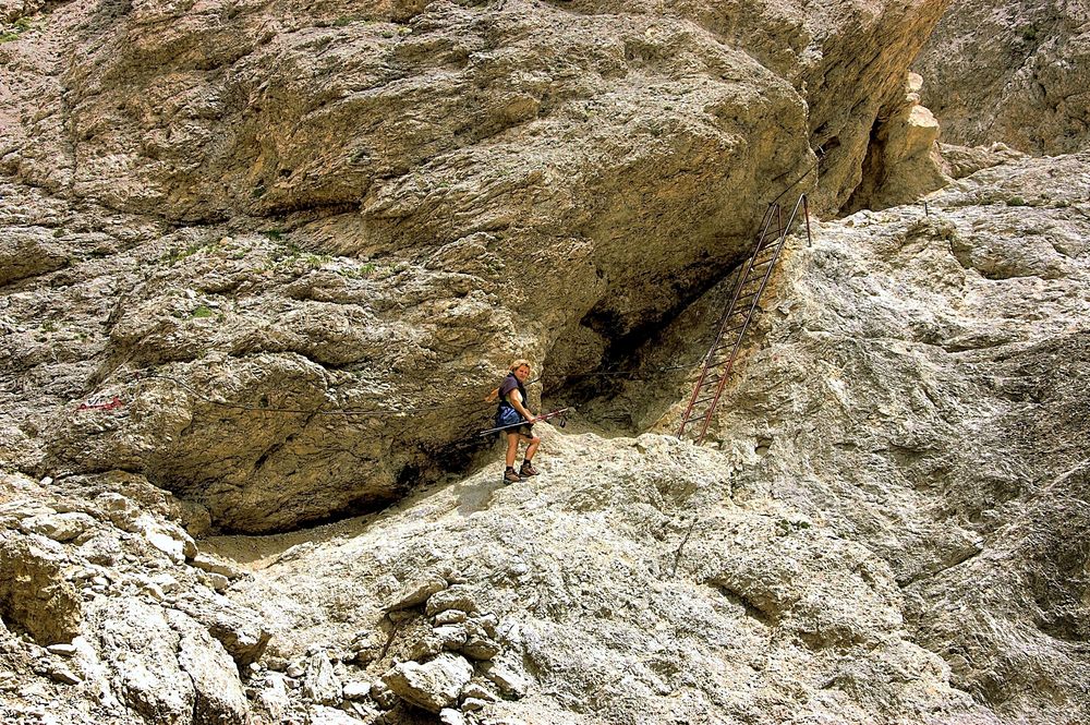 durch den rosengarten