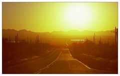 Durch den Saguaro Nat`l Park