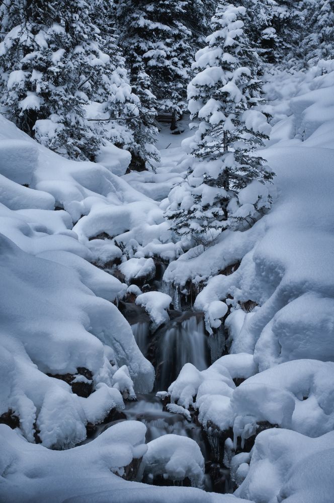 Durch den Schnee