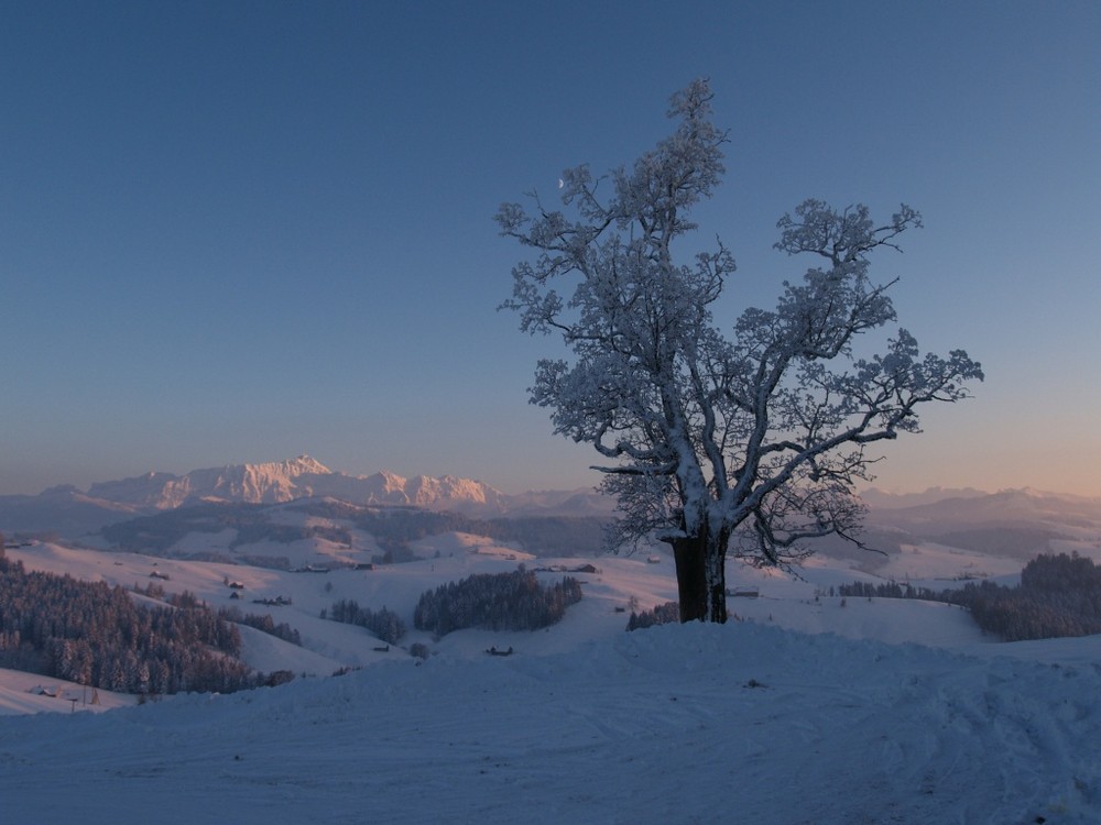 Durch den Schnee zum Käsefondue ...