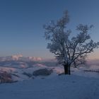 Durch den Schnee zum Käsefondue ...