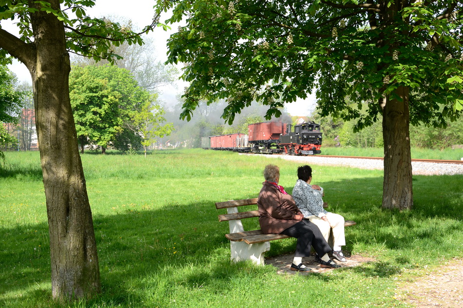 durch den Stadtpark von Mügeln