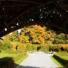 durch den Torbogen der Retunde hinaus in den goldenen Herbst