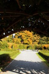 durch den Torbogen der Retunde hinaus in den goldenen Herbst