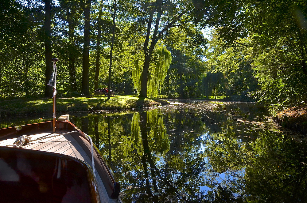 Durch den Urwald im Bürgerpark