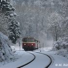 Durch den verschneiten Winterwald...