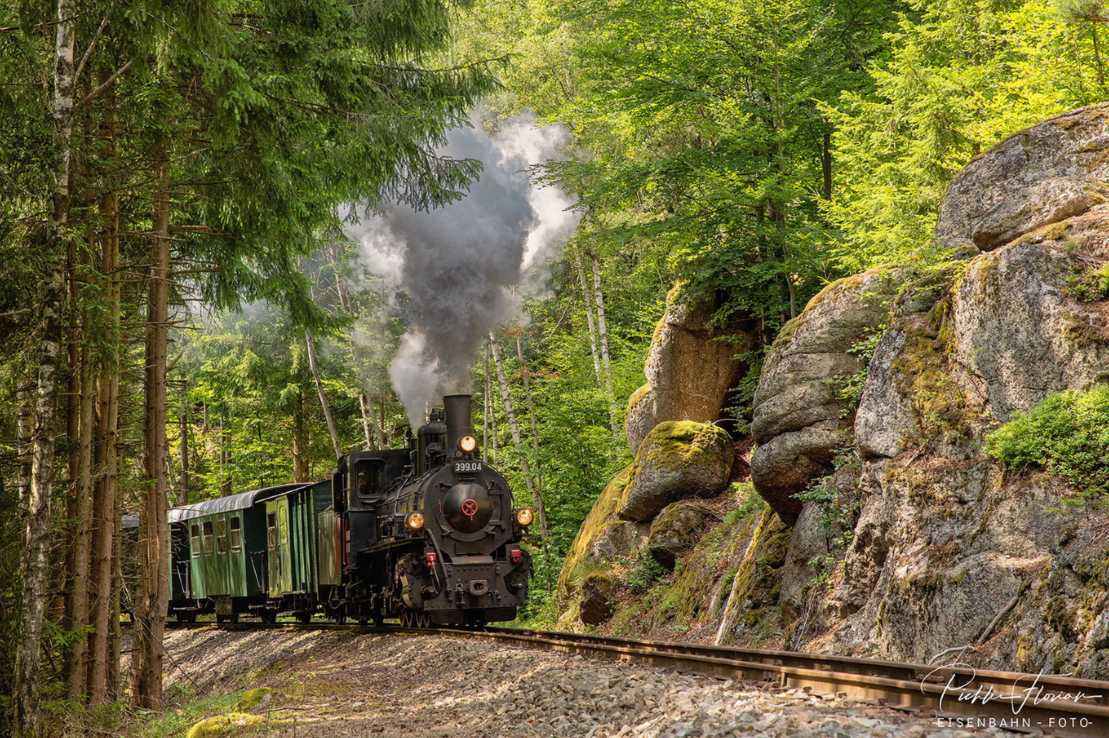 durch den Wald