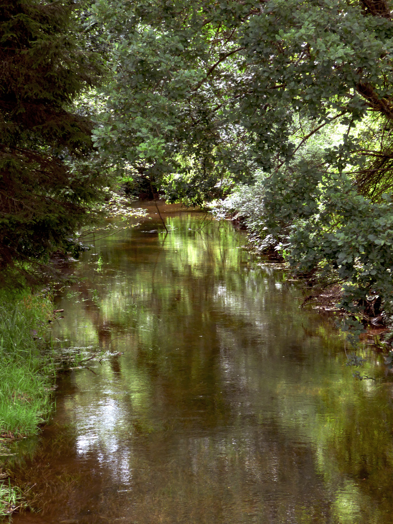 Durch den Wald