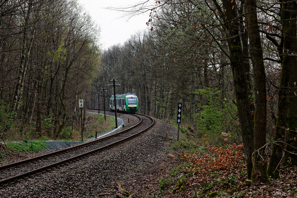 Durch den Wald