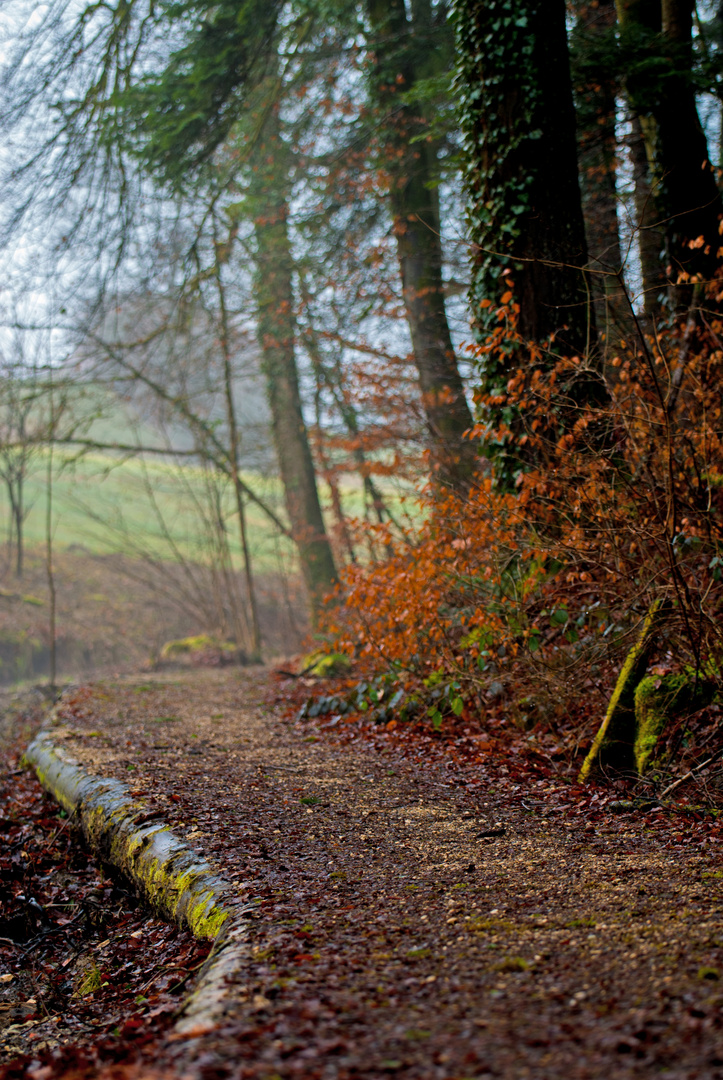 Durch den Wald