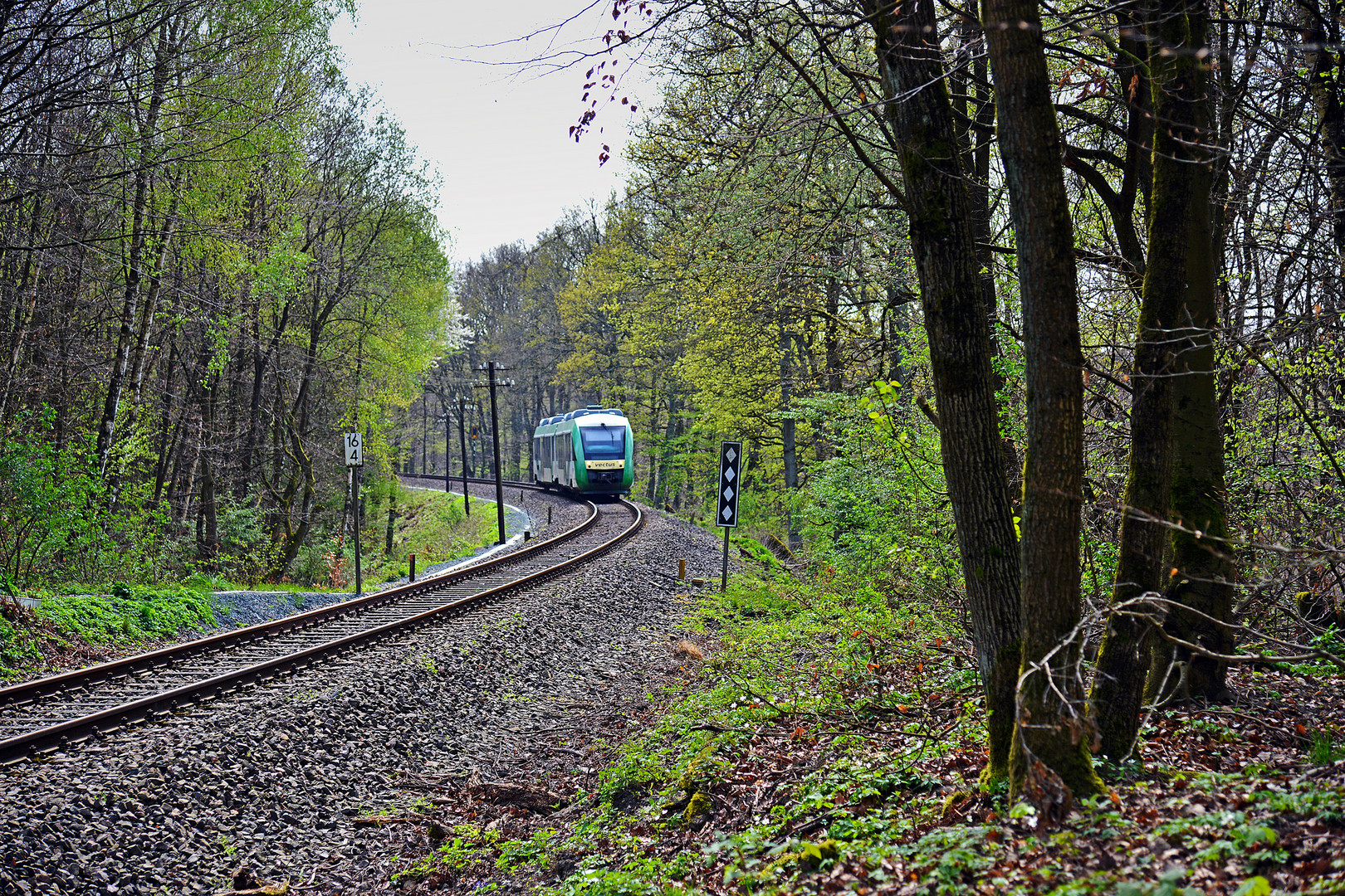 Durch den Wald