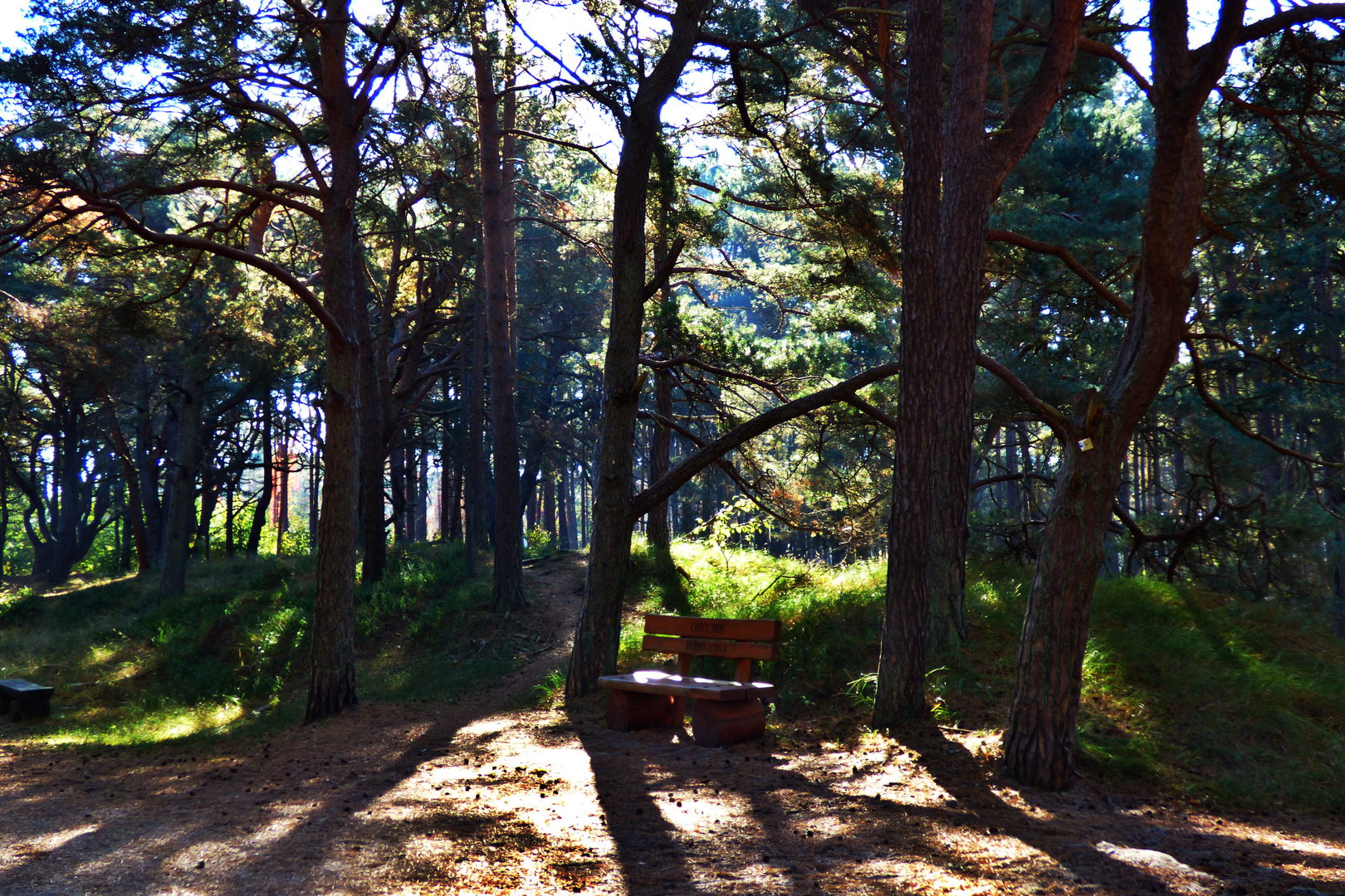 durch den Wald bei Zinnowitz  