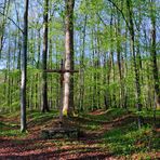 Durch den Wald, den dunkeln ...