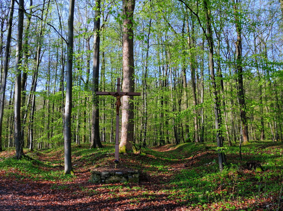 Durch den Wald, den dunkeln ...