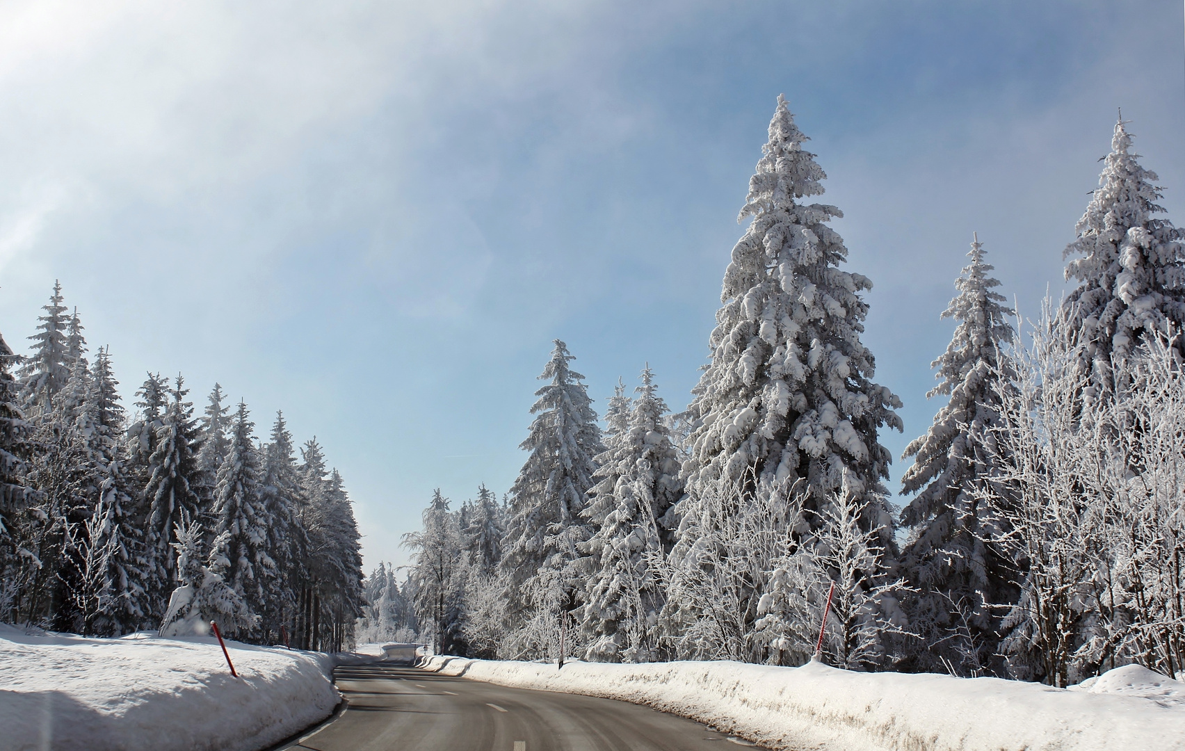 durch den Winterwald