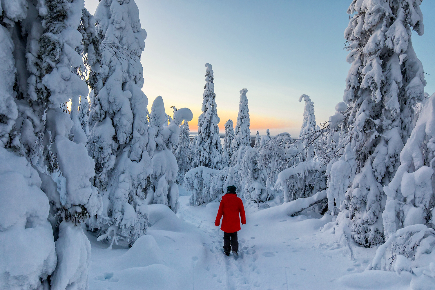 Durch den Winterwald