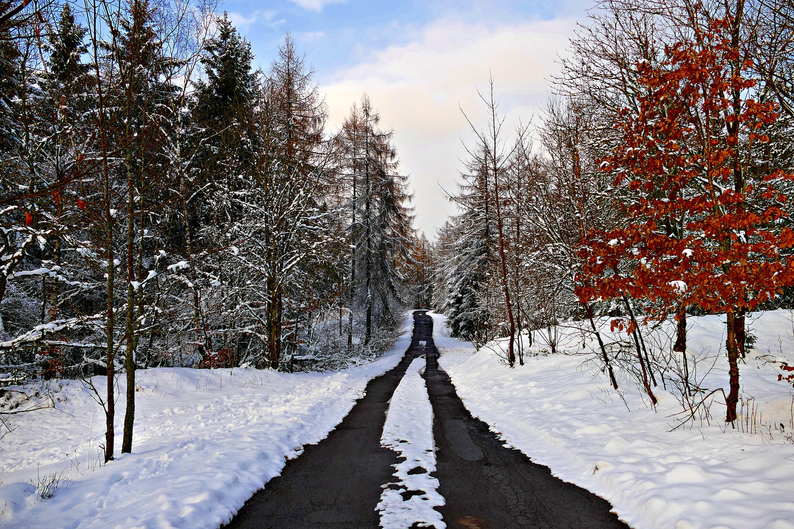 Durch den Winterwald...