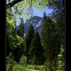 Durch den Yosemite