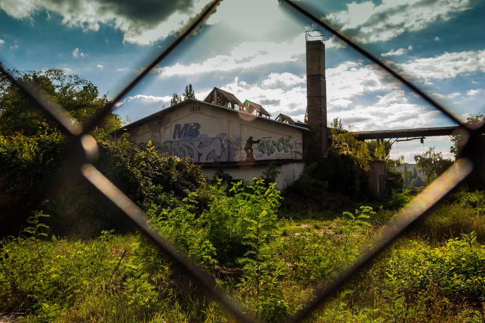 durch den Zaun geluckst