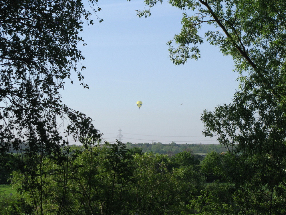 Durch die Bäume fliegen?