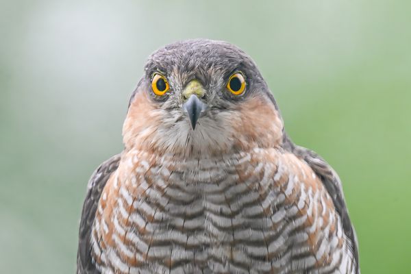 Durch die Balkontür