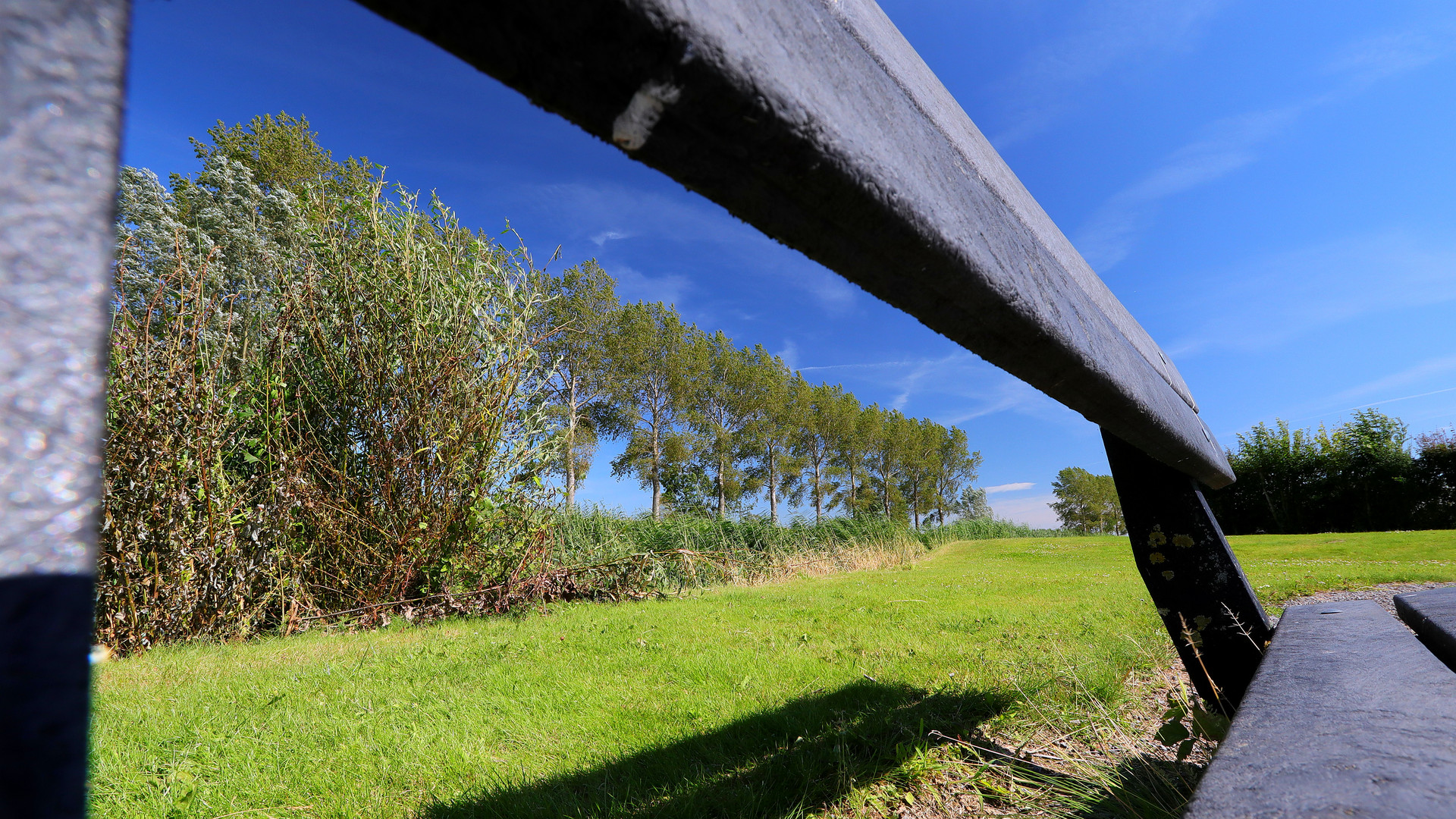 Durch Die Bank Weg Schone Baume Geknipst Foto Bild