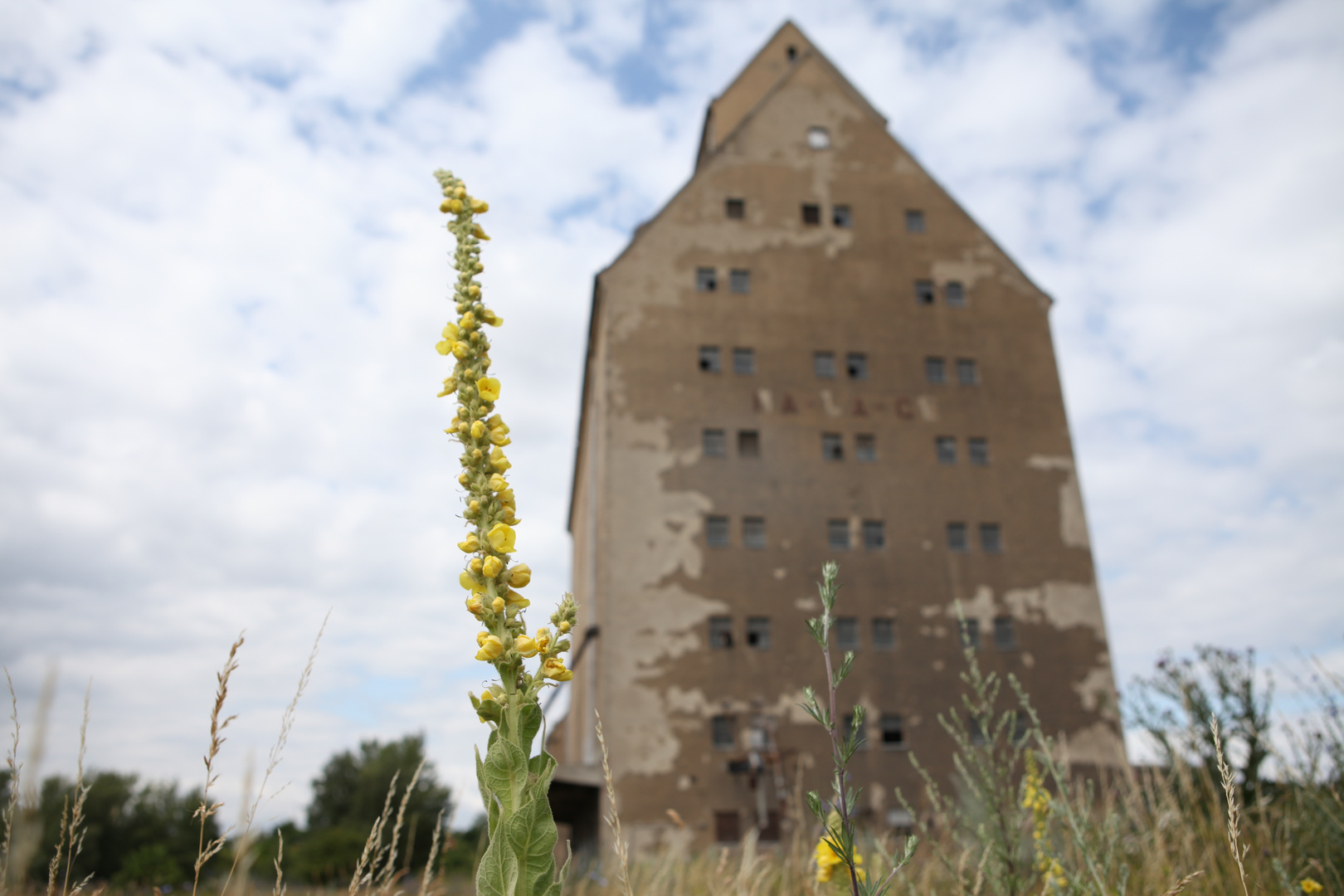 durch die Blume =)