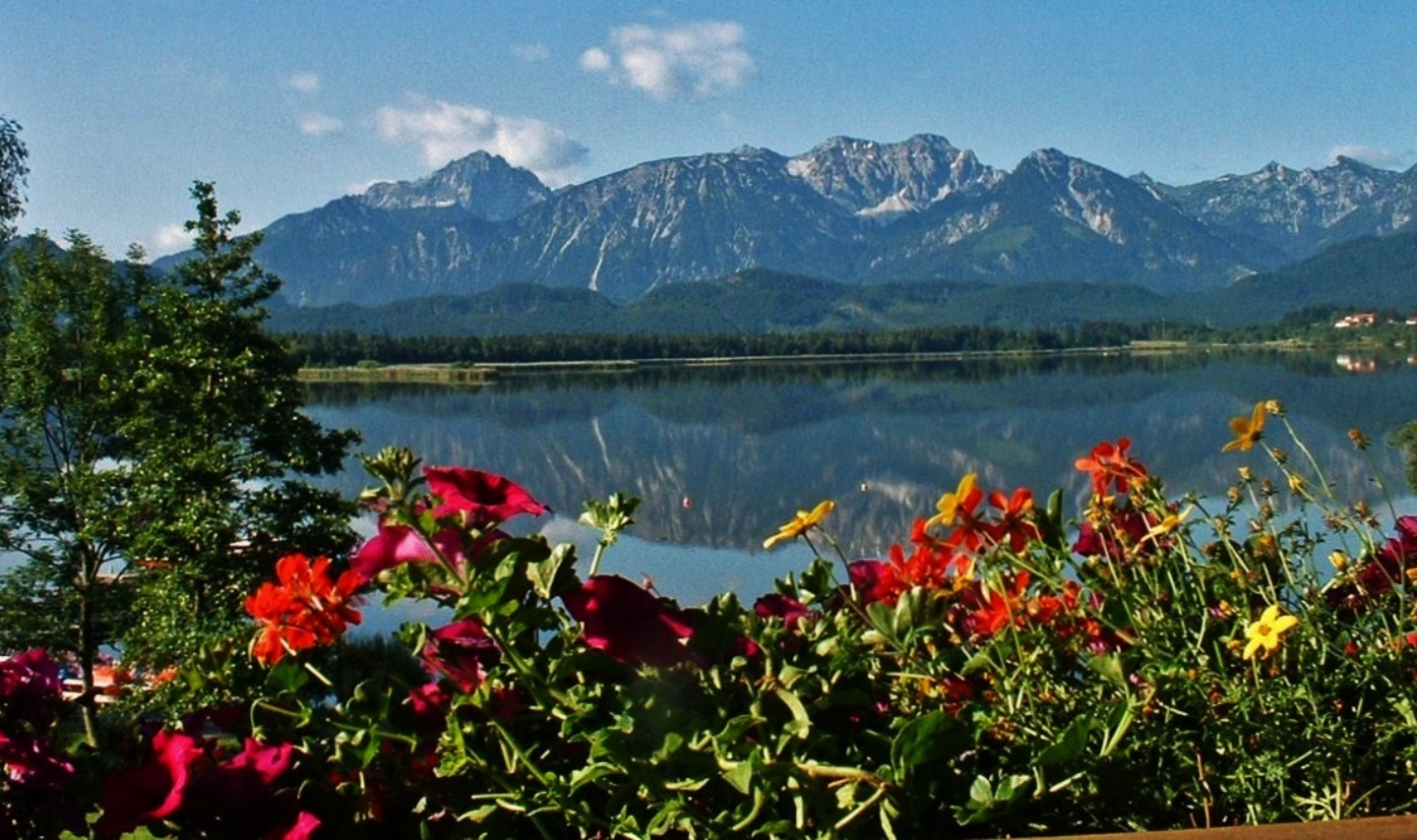 Durch die Blume: wunderschöner Hopfensee