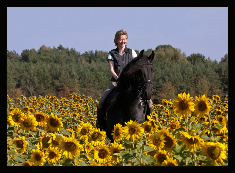 durch die Blumen