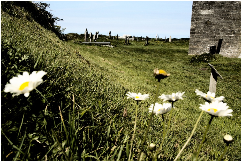 Durch die Blumen