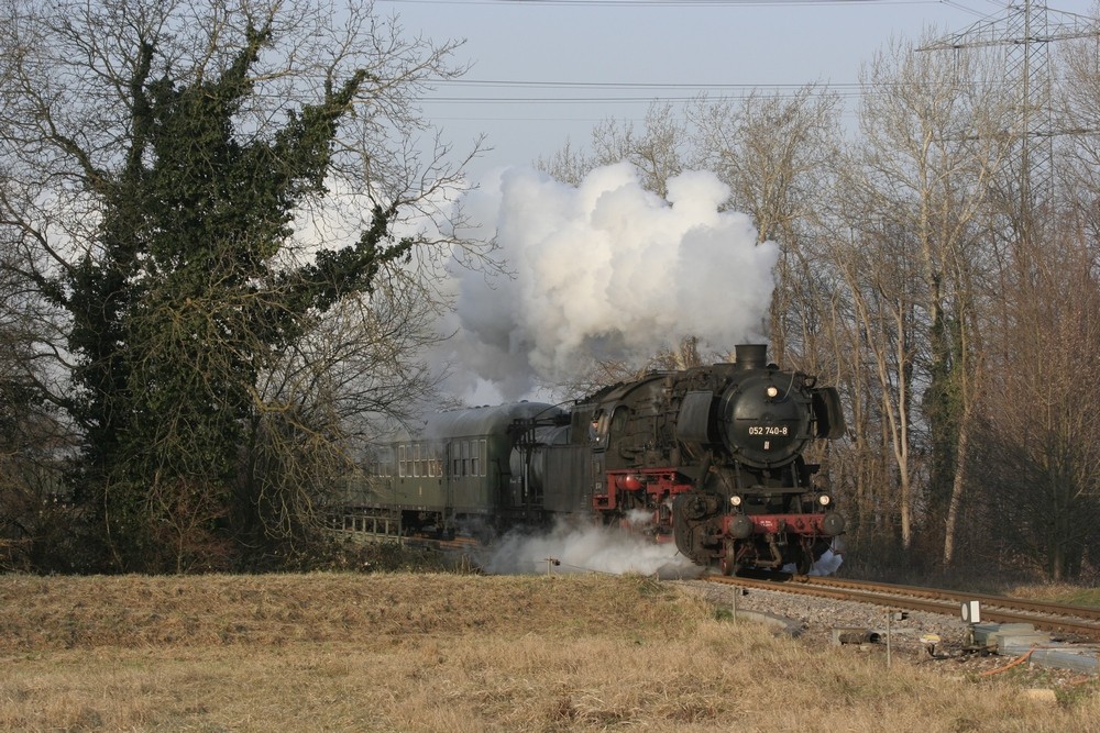 Durch die Büsche von Phillipsburg