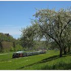 Durch die die frühlingshafte Landschaft hinter Aschach (1)