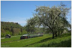 Durch die die frühlingshafte Landschaft hinter Aschach (1)