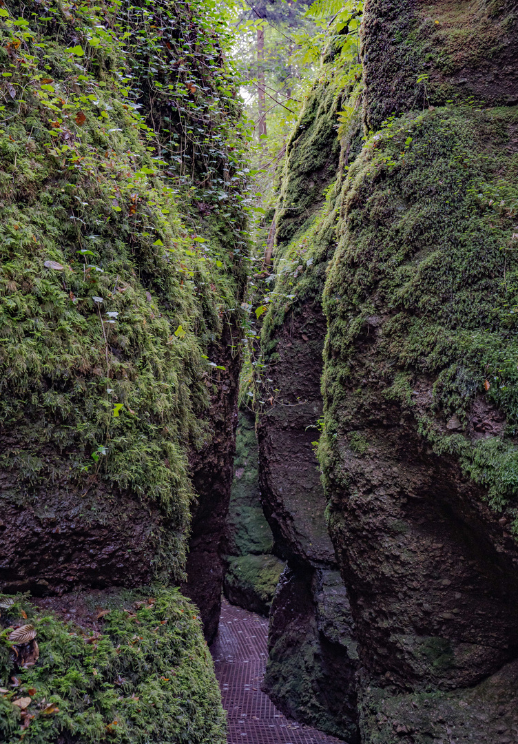 durch die Drachenschlucht