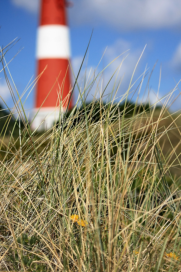 Durch die Düne