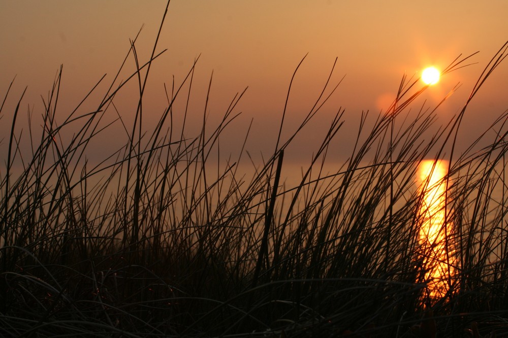 Durch die Düne