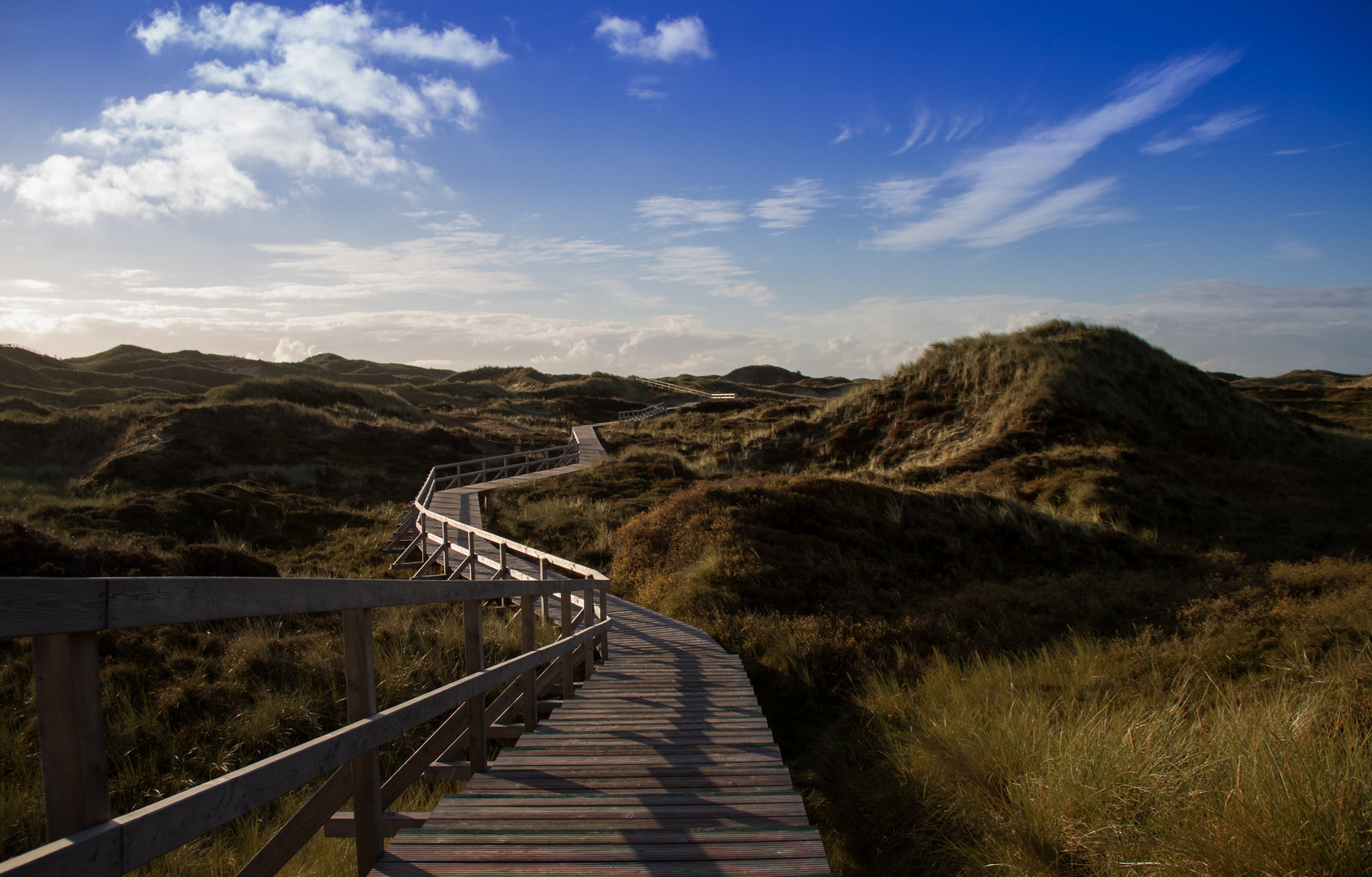 Durch die Dünen - Through the dunes