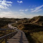 Durch die Dünen - Through the dunes