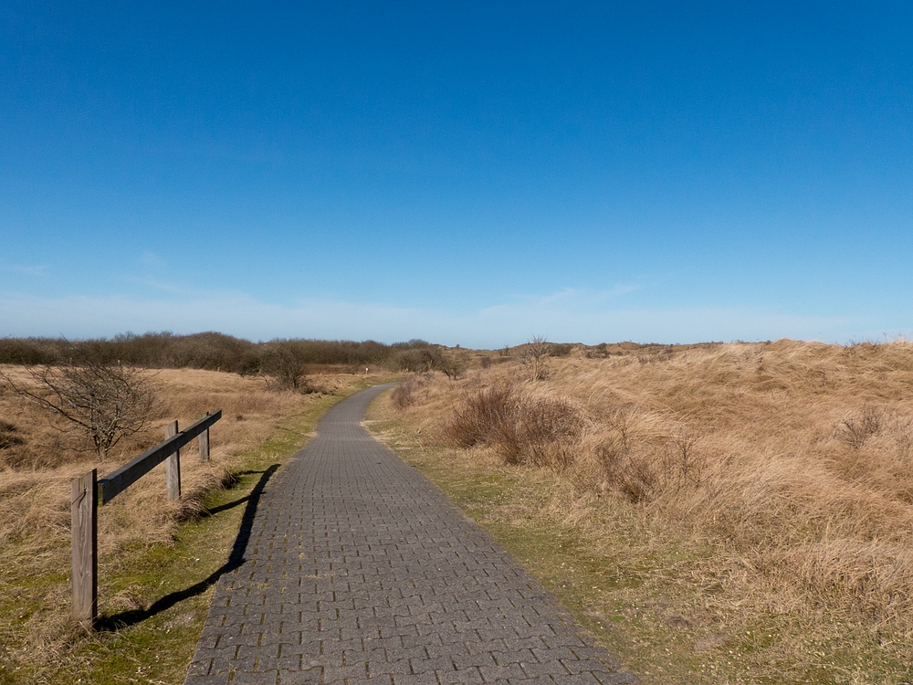 Durch die Dünen unter blauem Himmel