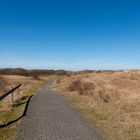 Durch die Dünen unter blauem Himmel