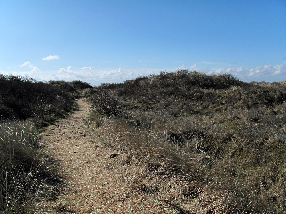 Durch die Dünen von Langeoog