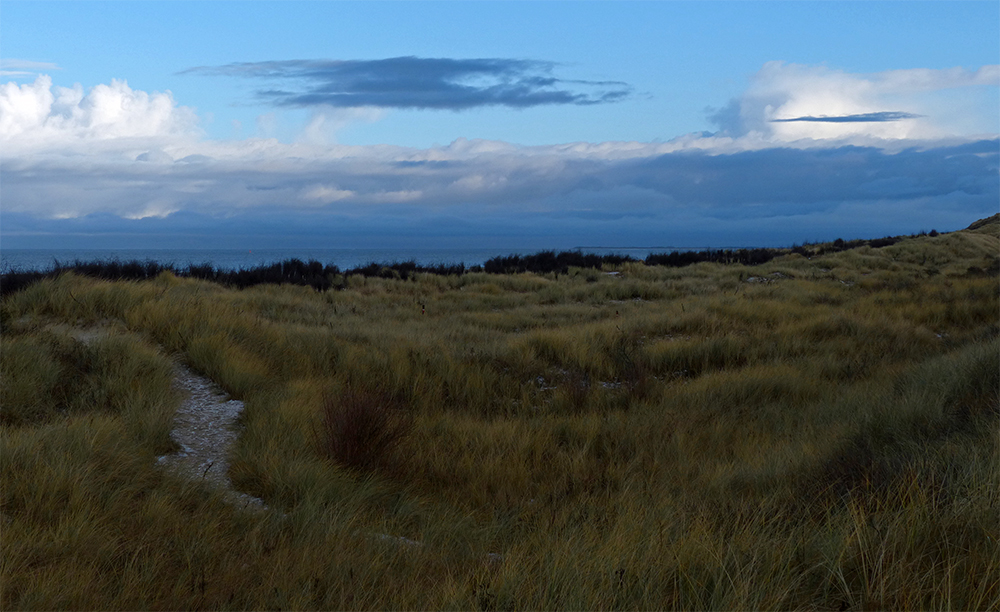 Durch die Dünen zum Strand