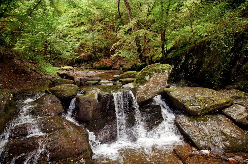 Durch die Ehrbachklamm ...