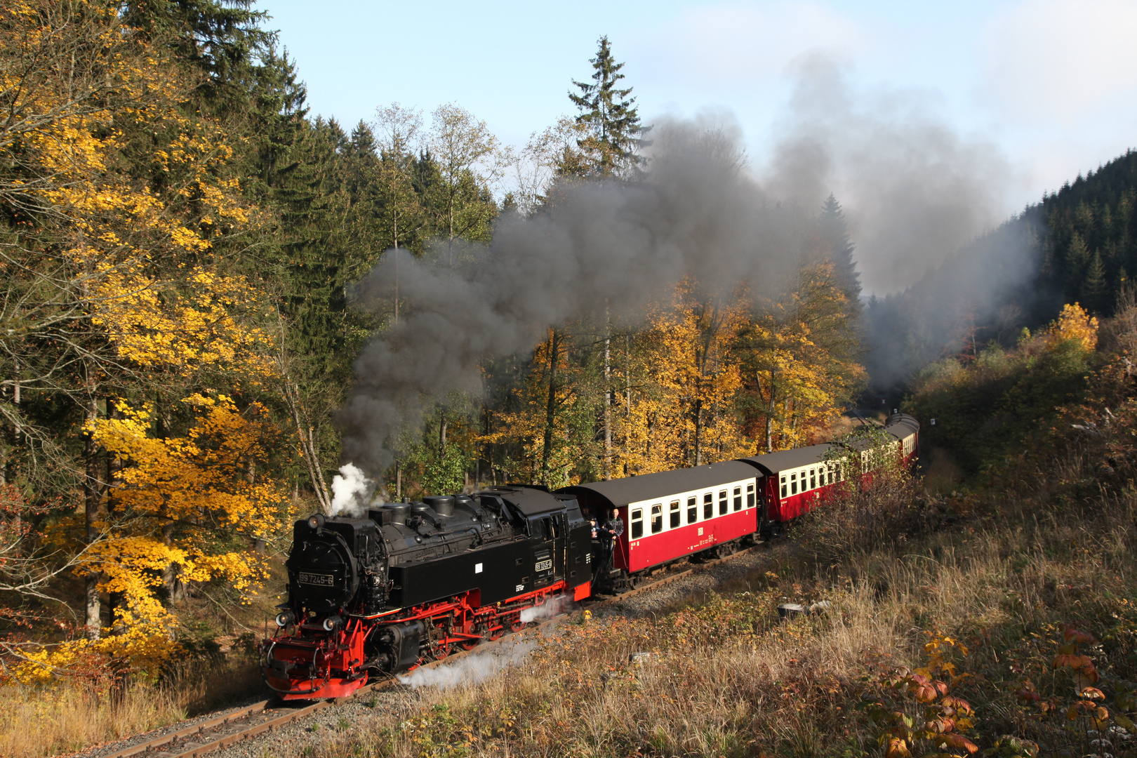 Durch die einsamen Wälder