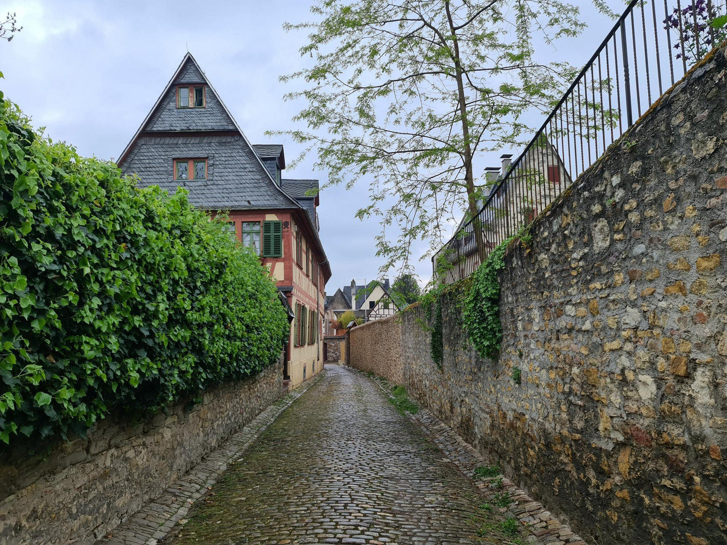 Durch die Gasse