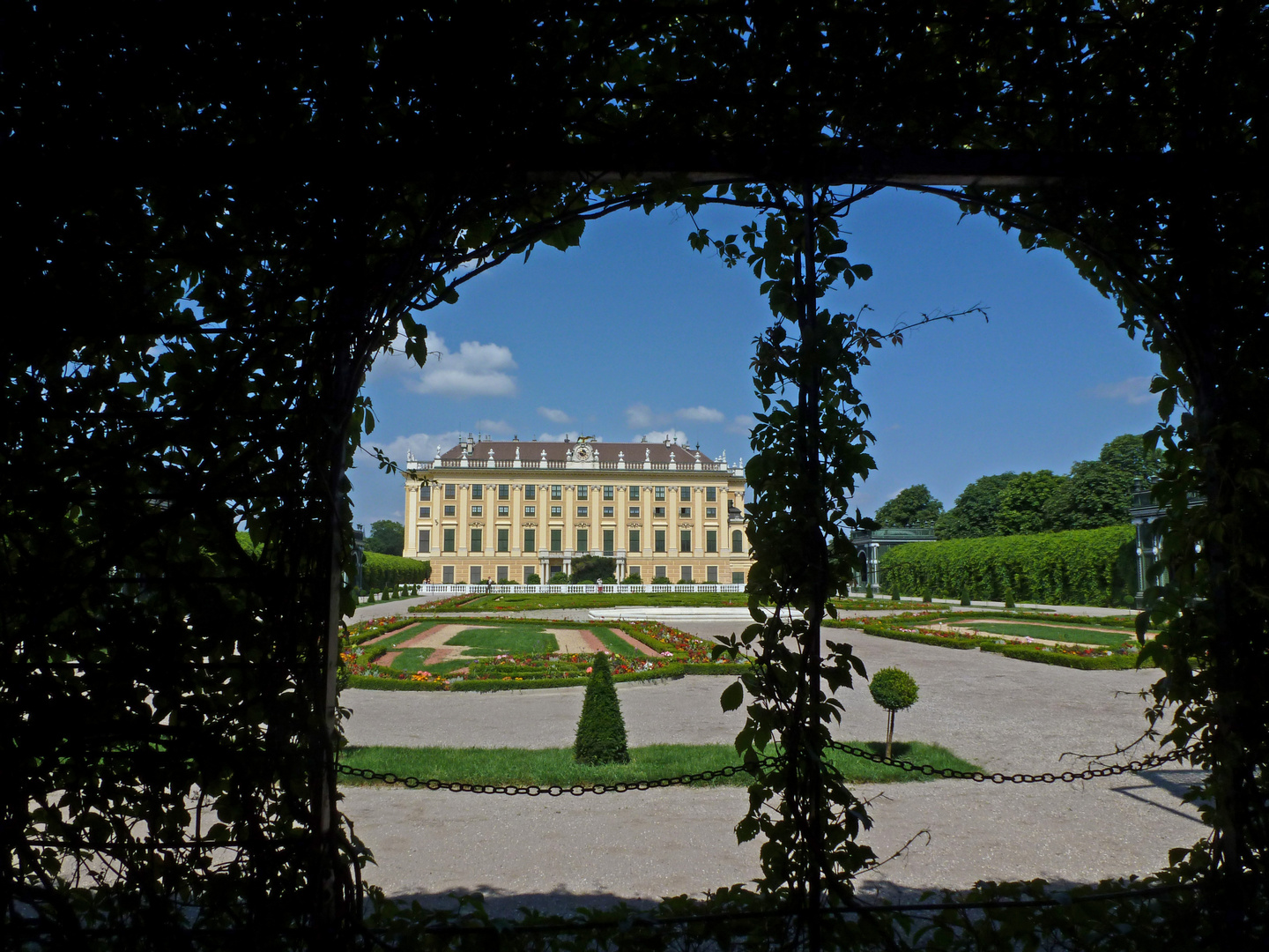 Durch die Hecke..